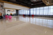 Gạch Ốp Lát APODIO 61282042